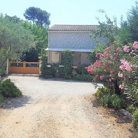 Les Lauriers Villa Ле Кастеле Екстериор снимка