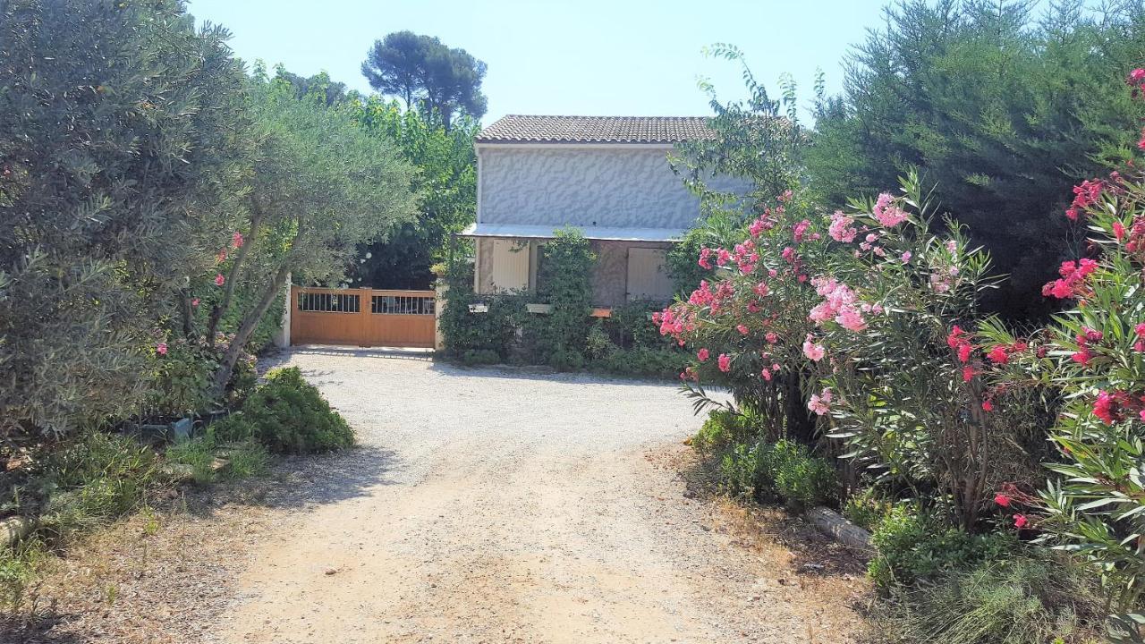 Les Lauriers Villa Ле Кастеле Екстериор снимка